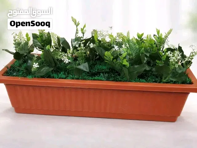 حوض زهور 60