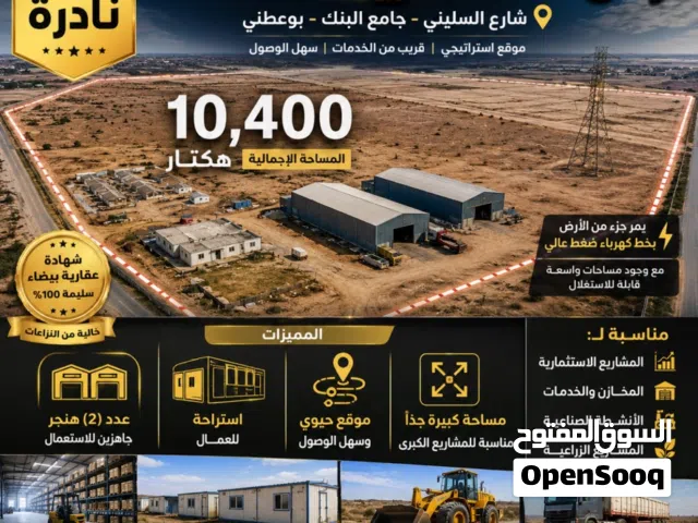شارع جامع ألبانك شارع السليني