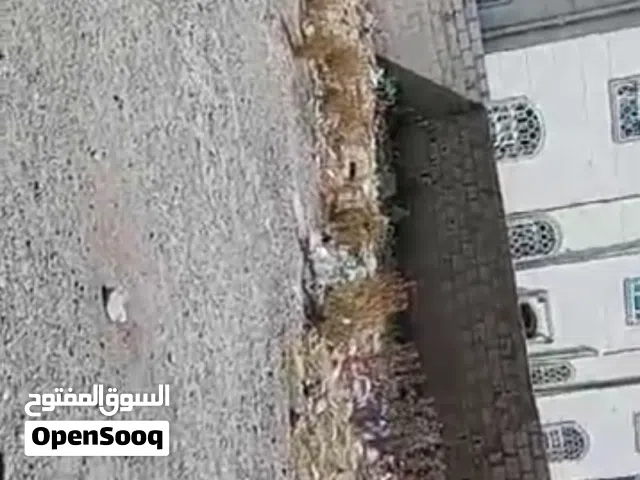 Residential Land for Sale in Sana'a Hezyaz
