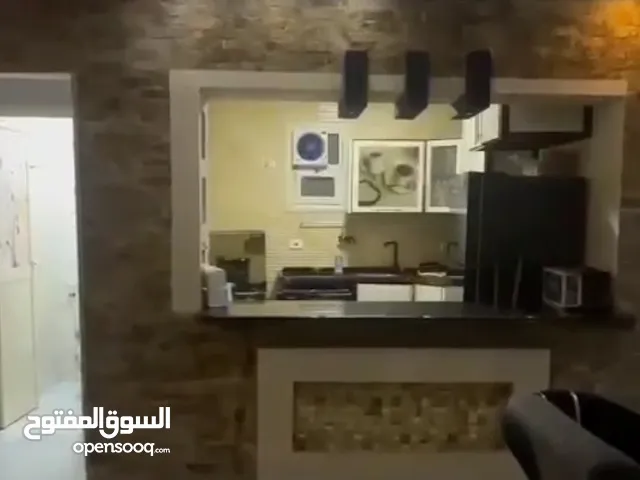 Furnished Daily in Giza Agouza