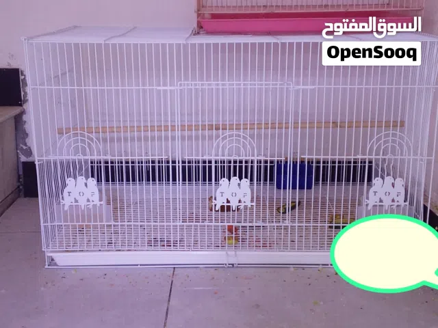 قفص ابو طيره اخو الجديد ستخدامه قليل مكاني صبخت العرب