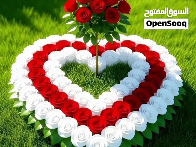 مطلوب عدد 2 او 3 أفراد لمشاركة سكن مفروش في حولي