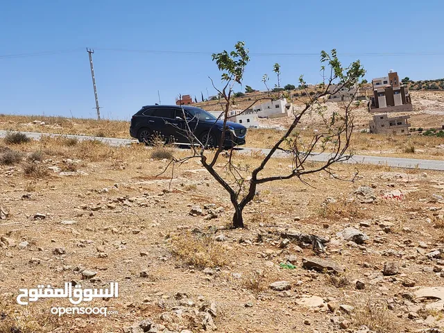 Residential Land for Sale in Zarqa Rajm Al Shawk