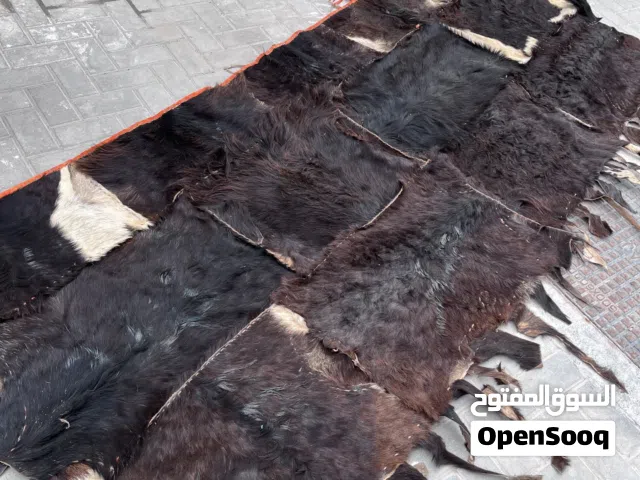 جلد غنم طبيعي 100%100