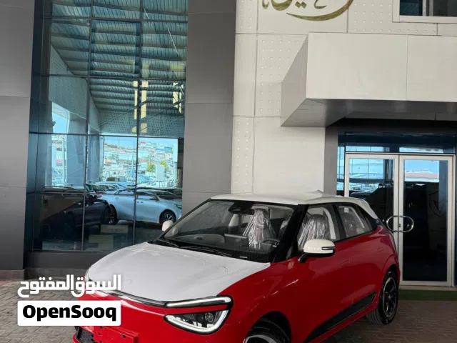 2025, Dongfeng, Nammi Box