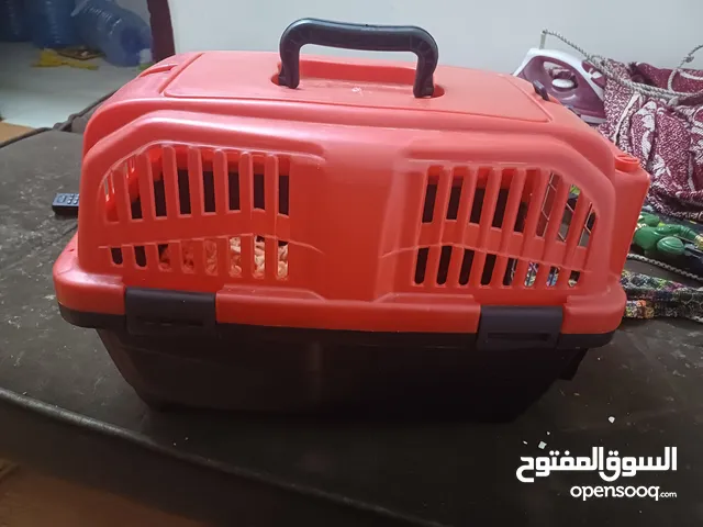 بوكس كلاب وقطط