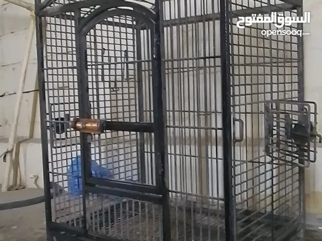 قفص كبير تفصل نظيف جدا