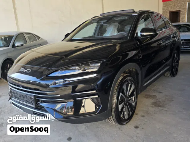 2025, بي واي دي, سونج بلس