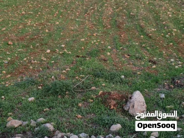 ارض للبيع في كفرعبوش مساحة 2 دونوم