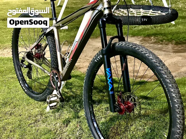 Mountain bike 29er fully modified