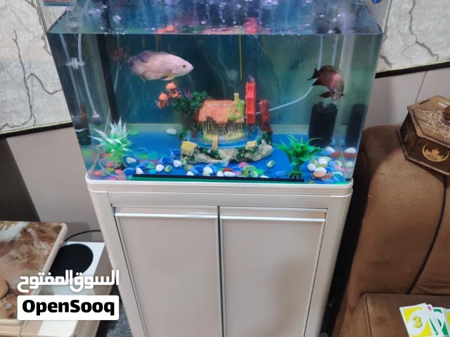 حوض اسماك