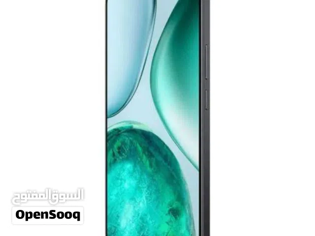 Honor Other 256 GB in Cairo