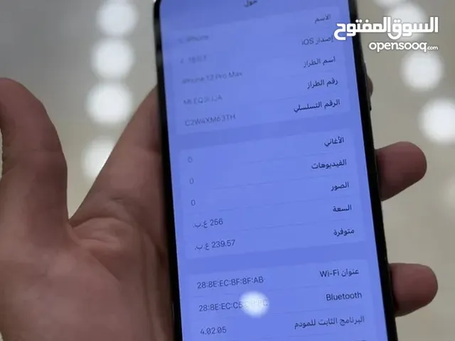 iPhone 13 pro max