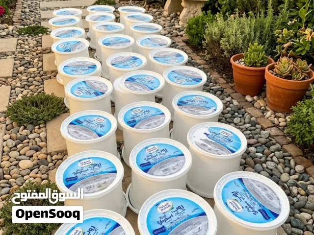 للبيع سطول بلاستيكية نظيفة بحالة جيدة