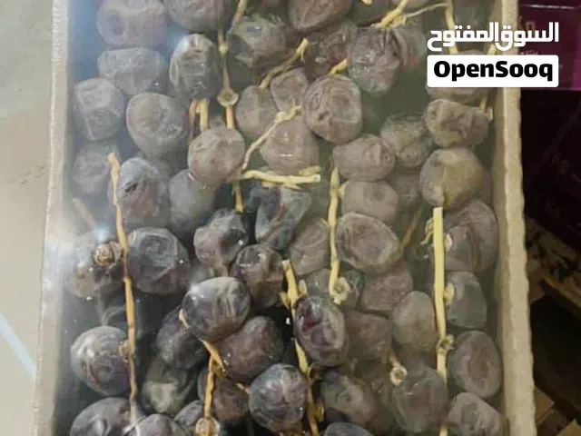 تمر دجله نور جزائري نخب اول