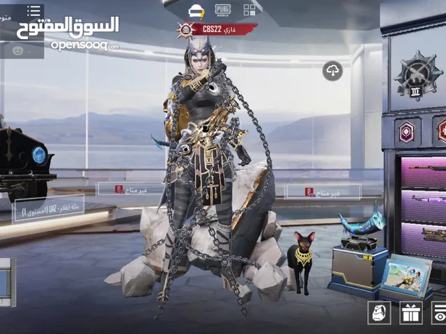 Pubg Accounts and Characters for Sale in Amman