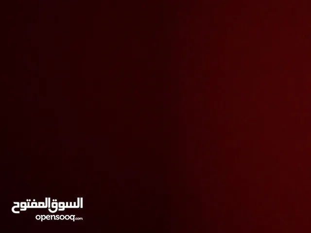 كلب زينا للبيع تحت 100