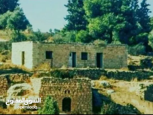 Commercial Land for Sale in Salt Um Jozeh