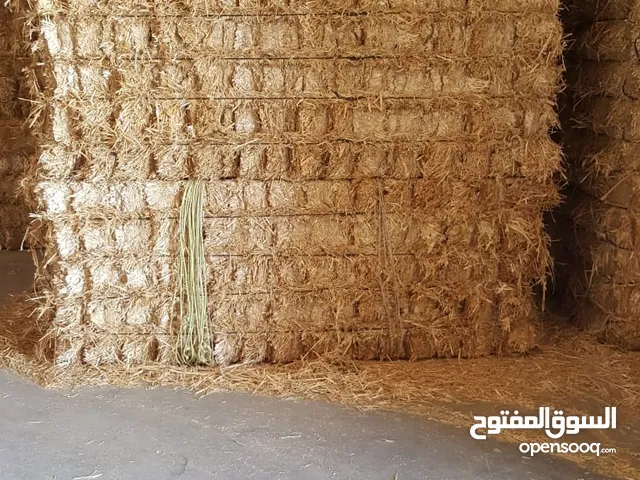 تبن خردل باكستاني خشن