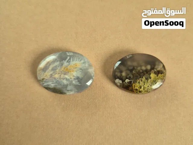 حجر يحكي عن أعماق البحر بإختصار