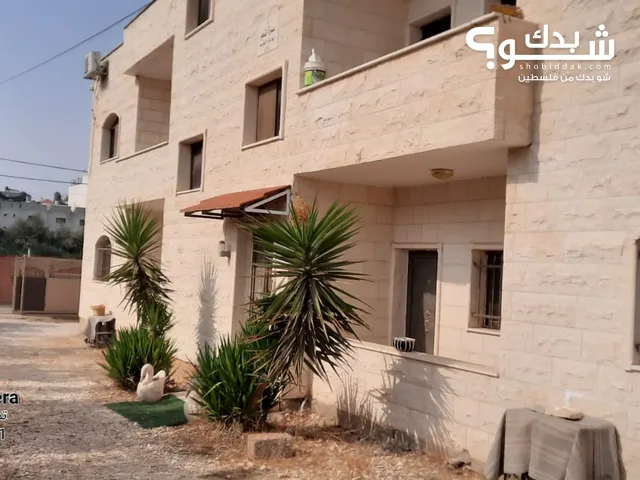 75m2 2 Bedrooms Apartments for Rent in Jenin Al Zababida
