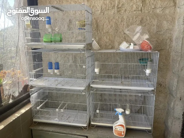 قفص كناري نوعيه ممتازه للبيع