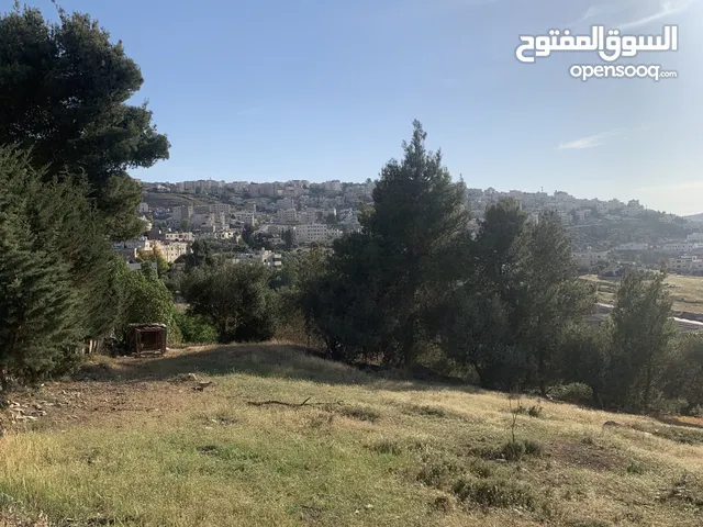 قطعه ارض مميزه في صافوط اراضي شمال عمان
