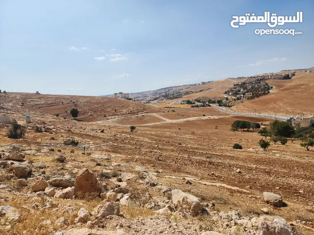 Residential Land for Sale in Amman Shafa Badran