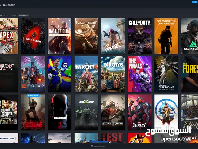 Steam Accounts and Characters for Sale in Aqaba