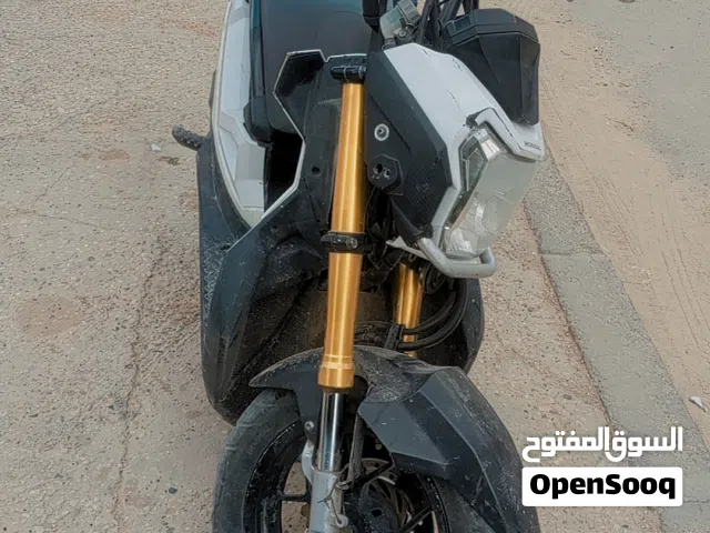 هونداء زومركس 2020