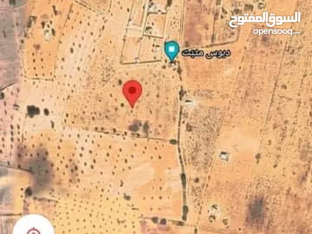 Commercial Land for Sale in Zuwara Other