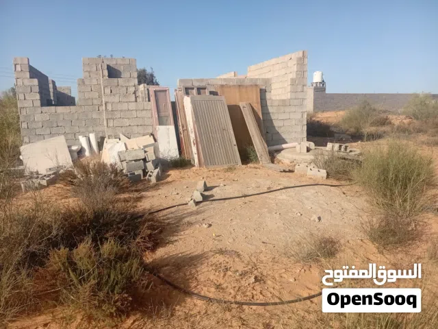 هيكل بلفوسكيه وادي الربيع ( المالك )