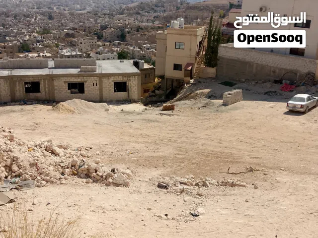 أرضين سكنيتين مميزات في الزرقاء - البتراوي (فاجرة شبيب) - مساحات مميزة - إطلالة بانورامية كاشفة.