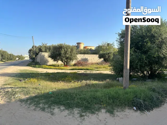 ارض الايجار منطقة كرزاز