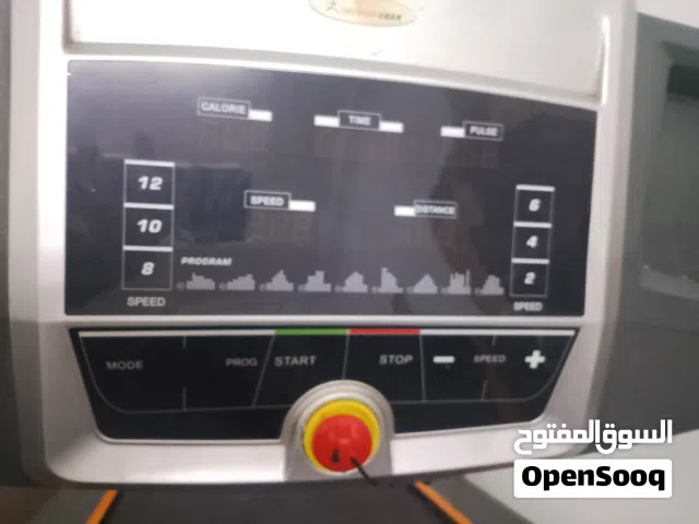 ممشى كهربائي