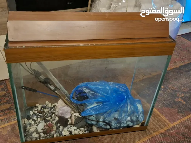 حوض سمك بحالة جيدة