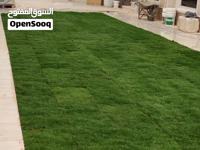 مشتل بسعر الجمله