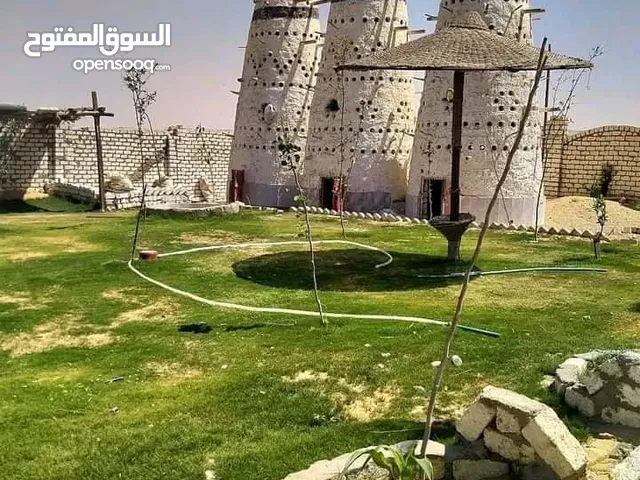 مزارع الاخلاص