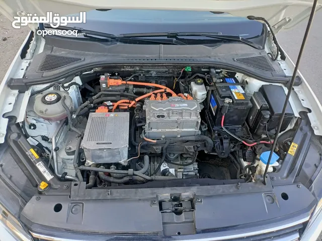 جولف ايبورا كهرباء 2019