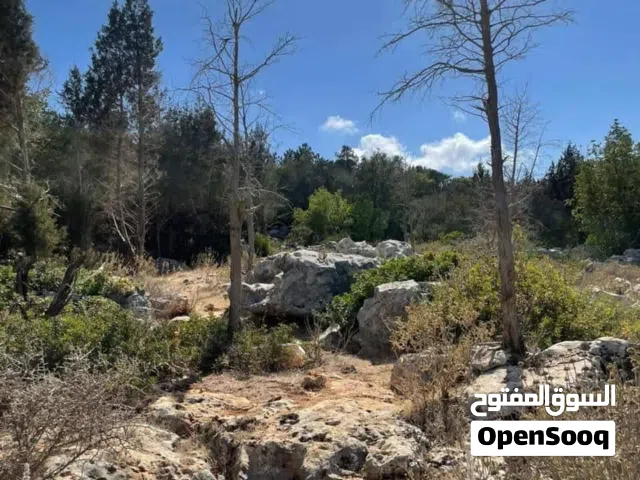 Residential Land for Sale in Jebel Akhdar Bayda
