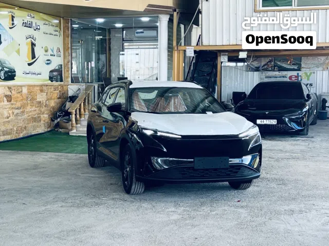 2027 دونج فينج ميج EV