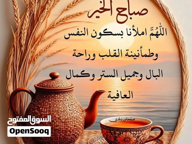 تنظيف الشقق والفلل والحدائق