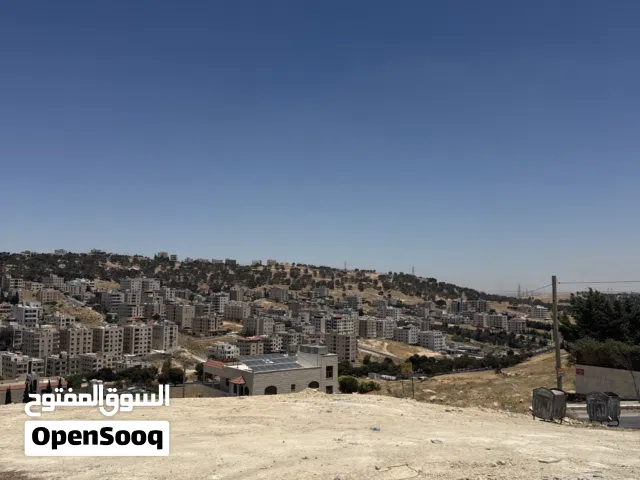 Residential Land for Sale in Amman Yajouz