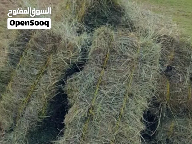 حشيشة للبيع برايد