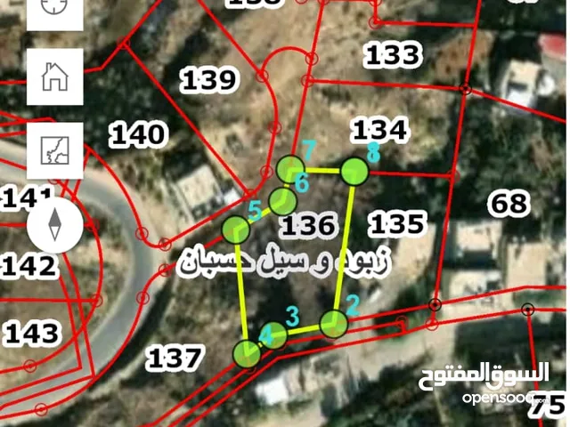 Residential Land for Sale in Amman Naour