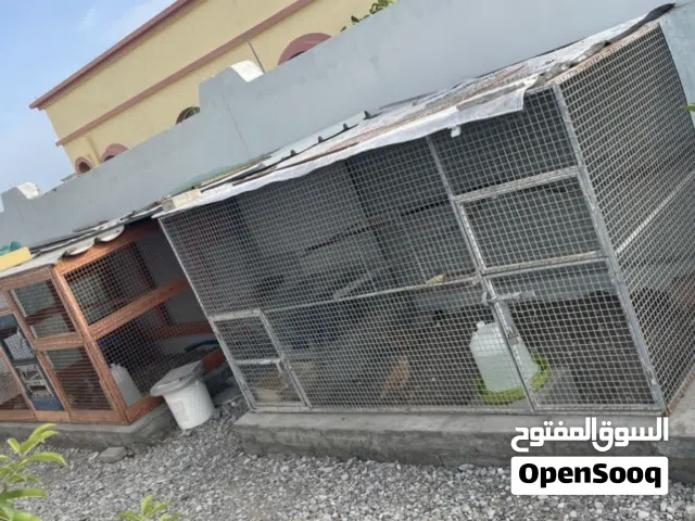 3 اقفاص للبيع ...؟