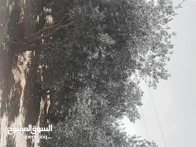 منزل للبيع