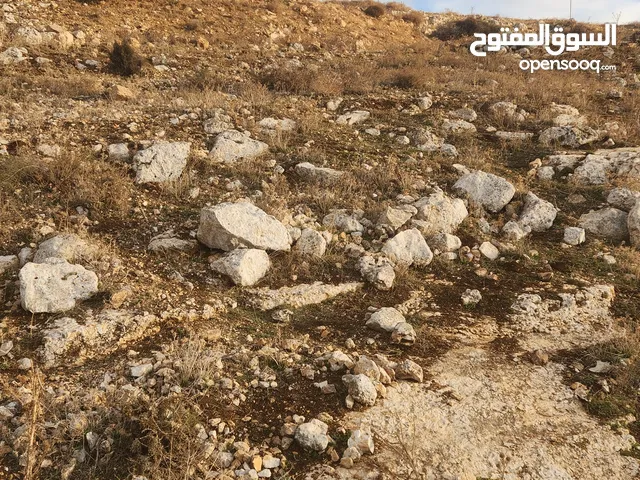 Residential Land for Sale in Amman Al Bassah
