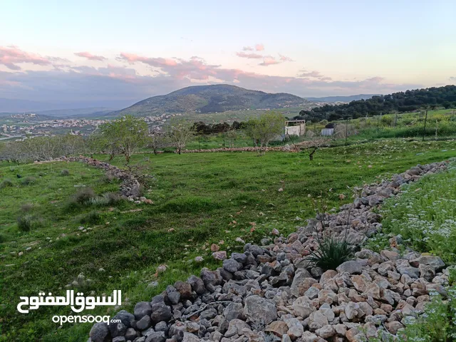 Residential Land for Sale in Tubas Salhab