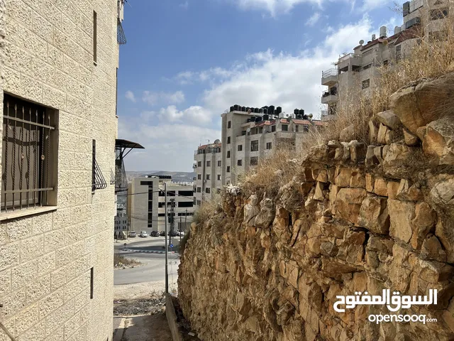 شقة مفروشة للاجار